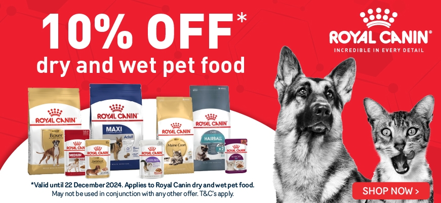 Buy Dog Food Cat Food and Pet Products Online Absolute Pets